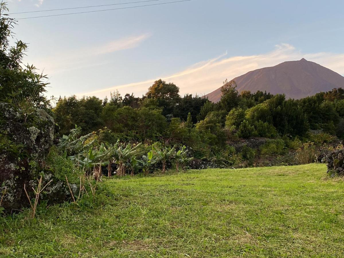 Ferienhaus Casa Do Almance Sao Joao (Pico Island)