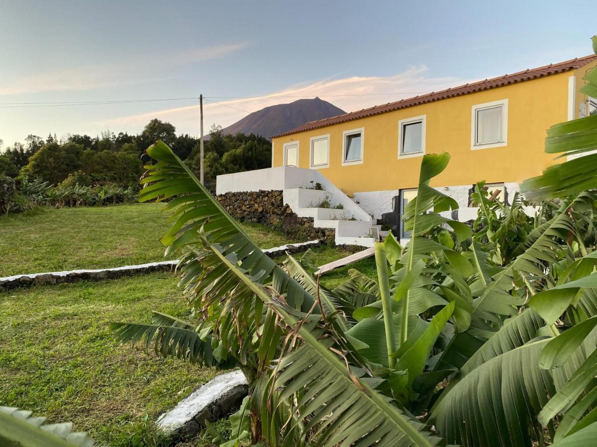 Casa Do Almance * Sao Joao (Pico Island)