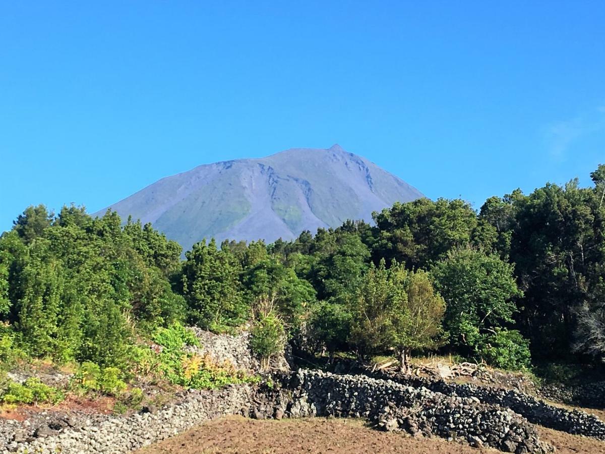 Casa Do Almance Ferienhaus Sao Joao (Pico Island)